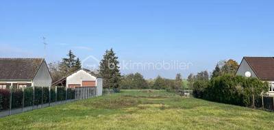 Terrain seul à Ouzouer-sous-Bellegarde en Loiret (45) de 2318 m² à vendre au prix de 29000€ - 1