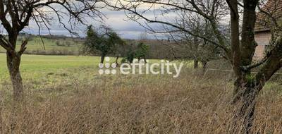 Terrain seul à Merkwiller-Pechelbronn en Bas-Rhin (67) de 2000 m² à vendre au prix de 171000€ - 3