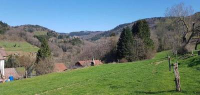 Terrain seul à Le Val-d'Ajol en Vosges (88) de 0 m² à vendre au prix de 28600€ - 2