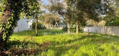 Terrain seul à Saint-Pierre-d'Oléron en Charente-Maritime (17) de 2315 m² à vendre au prix de 481000€ - 4