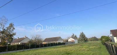 Terrain seul à Ouzouer-sous-Bellegarde en Loiret (45) de 2318 m² à vendre au prix de 29000€ - 3