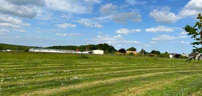 Terrain seul à Bornel en Oise (60) de 985 m² à vendre au prix de 143000€ - 2
