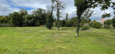 Terrain seul à Luçon en Vendée (85) de 2722 m² à vendre au prix de 138450€ - 3