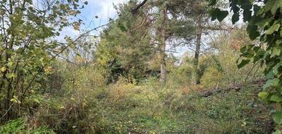 Terrain seul à Mehun-sur-Yèvre en Cher (18) de 952 m² à vendre au prix de 28000€ - 2