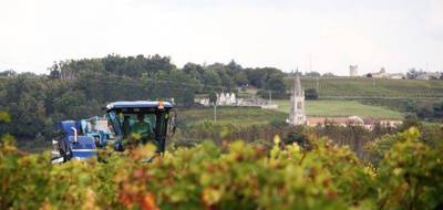 Terrain seul à Bayon-sur-Gironde en Gironde (33) de 120000 m² à vendre au prix de 126800€ - 2