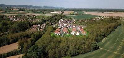 Terrain seul à Riedseltz en Bas-Rhin (67) de 505 m² à vendre au prix de 64500€ - 1