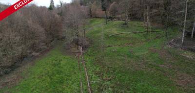 Terrain seul à Forgès en Corrèze (19) de 13515 m² à vendre au prix de 20000€ - 2