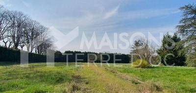 Programme terrain + maison à Mazamet en Tarn (81) de 1220 m² à vendre au prix de 211300€ - 2