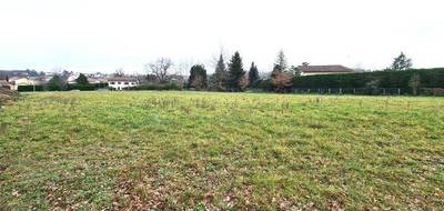 Terrain seul à Poncins en Loire (42) de 1650 m² à vendre au prix de 75000€ - 1