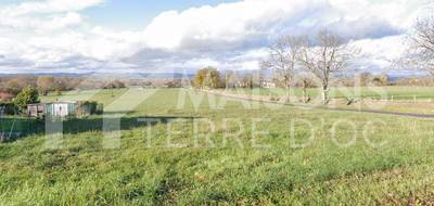 Terrain seul à Massaguel en Tarn (81) de 1150 m² à vendre au prix de 46000€ - 1