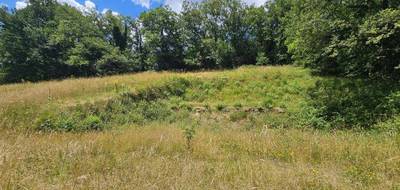 Terrain seul à Belcastel en Aveyron (12) de 4450 m² à vendre au prix de 39500€ - 2