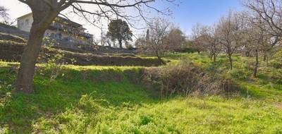 Terrain seul à Rapale en Haute-Corse (2B) de 1984 m² à vendre au prix de 149000€ - 3