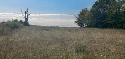 Terrain seul à La Chapelle-Moulière en Vienne (86) de 1680 m² à vendre au prix de 43000€ - 1