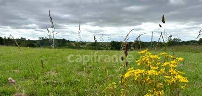 Terrain seul à Saint-Laurent-du-Plan en Gironde (33) de 1000 m² à vendre au prix de 65000€ - 1