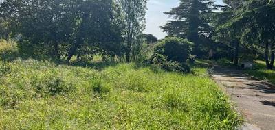 Terrain seul à Narbonne en Aude (11) de 570 m² à vendre au prix de 206500€ - 2