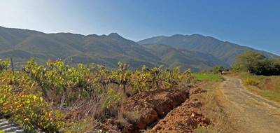 Terrain seul à Espira-de-Conflent en Pyrénées-Orientales (66) de 597 m² à vendre au prix de 103690€ - 3