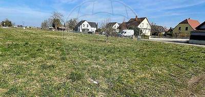 Terrain seul à Jebsheim en Haut-Rhin (68) de 650 m² à vendre au prix de 169000€ - 1