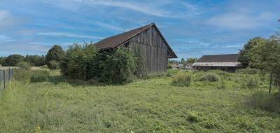 Terrain seul à Mergey en Aube (10) de 2649 m² à vendre au prix de 103000€ - 3