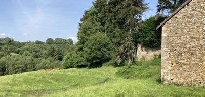 Terrain seul à Châteauneuf-la-Forêt en Haute-Vienne (87) de 12327 m² à vendre au prix de 66000€ - 3