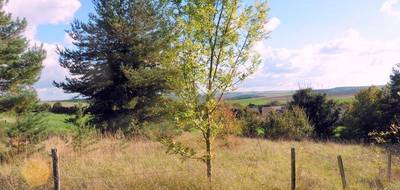 Terrain seul à Villeneuve-l'Archevêque en Yonne (89) de 1000 m² à vendre au prix de 15000€ - 1