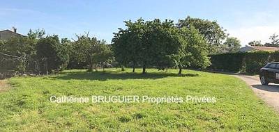 Terrain seul à Saint-Sauveur-d'Aunis en Charente-Maritime (17) de 650 m² à vendre au prix de 155990€ - 3