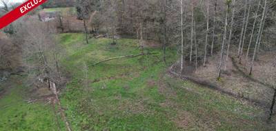 Terrain seul à Forgès en Corrèze (19) de 13515 m² à vendre au prix de 20000€ - 1