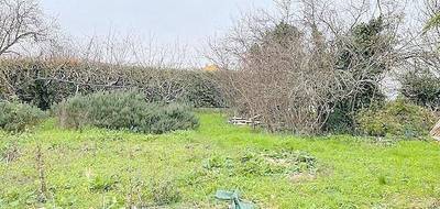 Terrain seul à Longèves en Charente-Maritime (17) de 491 m² à vendre au prix de 161100€ - 2