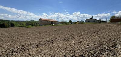 Terrain seul à Cremeaux en Loire (42) de 1339 m² à vendre au prix de 49500€ - 3