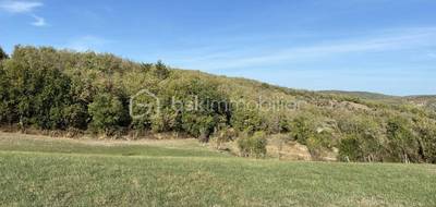 Terrain seul à Bruniquel en Tarn-et-Garonne (82) de 5915 m² à vendre au prix de 95000€ - 4