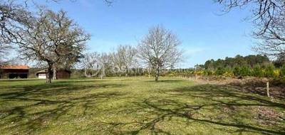 Terrain seul à Taller en Landes (40) de 5878 m² à vendre au prix de 270000€ - 4