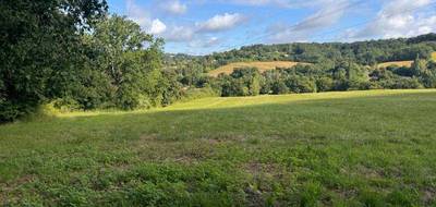 Terrain seul à Pont-du-Casse en Lot-et-Garonne (47) de 24400 m² à vendre au prix de 648000€ - 2