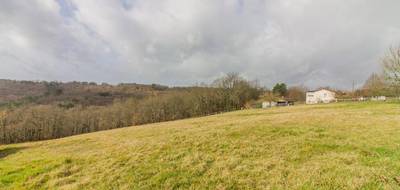 Terrain seul à Peyzac-le-Moustier en Dordogne (24) de 3000 m² à vendre au prix de 63000€ - 1