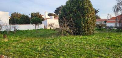 Terrain seul à La Guérinière en Vendée (85) de 984 m² à vendre au prix de 399000€ - 3