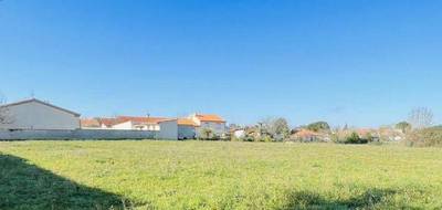 Programme terrain + maison à Marssac-sur-Tarn en Tarn (81) de 806 m² à vendre au prix de 267500€ - 2
