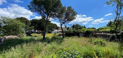 Terrain seul à Sète en Hérault (34) de 1000 m² à vendre au prix de 850000€ - 1