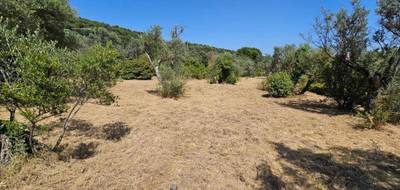 Terrain seul à Claviers en Var (83) de 1594 m² à vendre au prix de 220000€ - 2