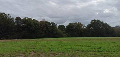 Terrain seul à Locmalo en Morbihan (56) de 1003 m² à vendre au prix de 27069€ - 2