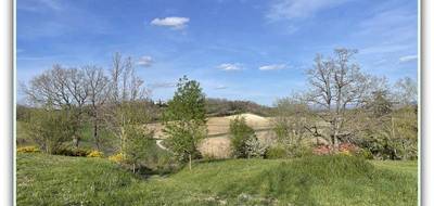 Terrain seul à Montgey en Tarn (81) de 6519 m² à vendre au prix de 79000€ - 2