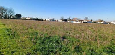 Terrain seul à Grézac en Charente-Maritime (17) de 521 m² à vendre au prix de 68000€ - 3