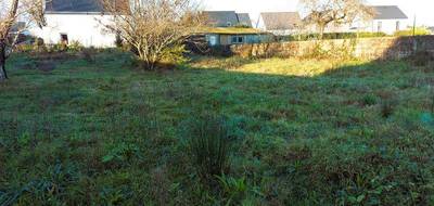 Terrain seul à Crach en Morbihan (56) de 664 m² à vendre au prix de 249500€ - 3