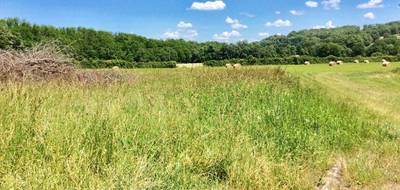 Terrain seul à Saint-Jean-de-Côle en Dordogne (24) de 1631 m² à vendre au prix de 32000€ - 2