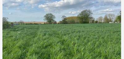 Terrain seul à Longueval en Somme (80) de 1750 m² à vendre au prix de 33500€ - 2