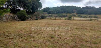 Terrain seul à Arboussols en Pyrénées-Orientales (66) de 1000 m² à vendre au prix de 116000€ - 2