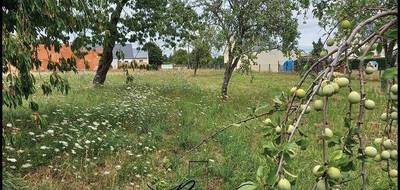 Terrain seul à Baugé-en-Anjou en Maine-et-Loire (49) de 1300 m² à vendre au prix de 54000€ - 2