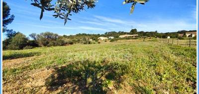 Terrain seul à Neffiès en Hérault (34) de 2673 m² à vendre au prix de 279500€ - 3