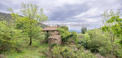 Terrain seul à Glorianes en Pyrénées-Orientales (66) de 990000 m² à vendre au prix de 535000€ - 4