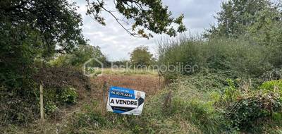 Terrain seul à Brains-sur-Gée en Sarthe (72) de 2300 m² à vendre au prix de 43900€ - 2