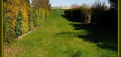 Terrain seul à Mesnil-Sellières en Aube (10) de 6710 m² à vendre au prix de 99065€ - 2