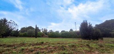 Terrain seul à Carcassonne en Aude (11) de 1300 m² à vendre au prix de 116590€ - 2