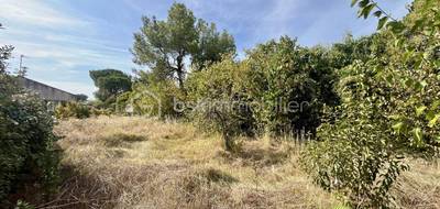 Terrain seul à Aniane en Hérault (34) de 450 m² à vendre au prix de 155000€ - 1